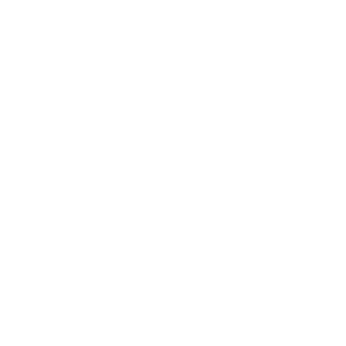 Worldwide Delivery
